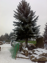 крупномеры